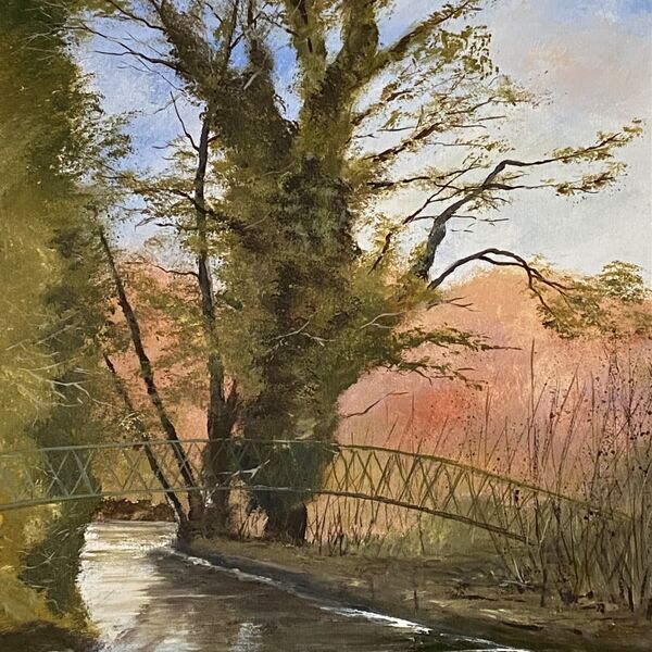 Footbridge by Brook House, Feckenham