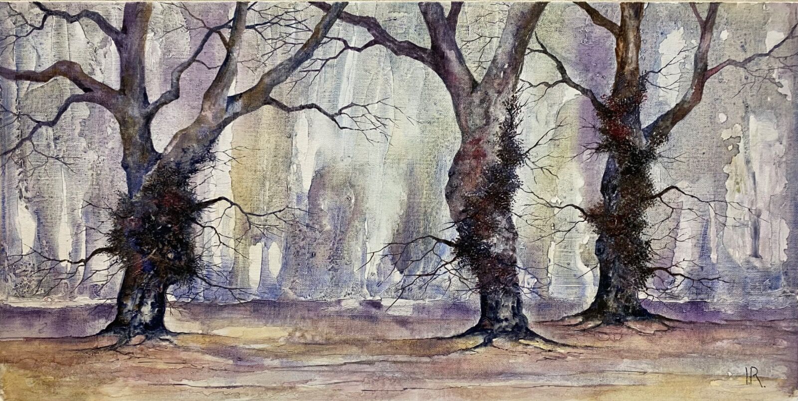 Winter Oaks’ Embrace