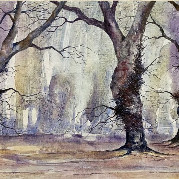 Winter Oaks’ Embrace