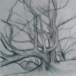 Twisted Tree - Lizzie Rose
