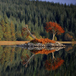 Autumn Reflections - Bill Baillie