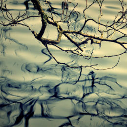 Reflections - Bill Baillie