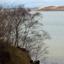 Bellanoch - Argyll