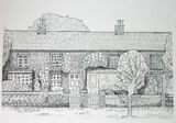10in x 12in one pen and ink