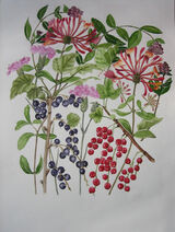 10in x 12in watercolour