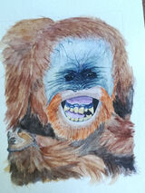 A3 watercolour