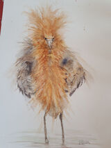 A4 watercolour by Janet Peck