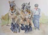 A4 watercolour