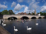 Multi Arch Bridges
