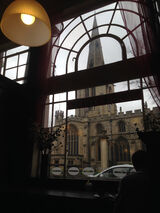 Window to the World