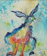 Colour me Hare