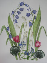 Watercolours