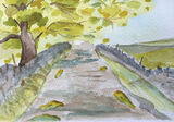 Watercolours