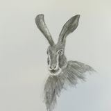 Week 1 -pencil drawing, shading, fur and feathers