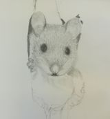 Week 1 -pencil drawing, shading, fur and feathers