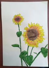 A3, Pen and wash