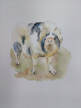 A watercolour about 20 by 20cm.