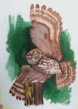 A3, watercolour