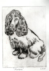 Maisie, Drypoint