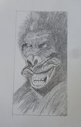 Pencil