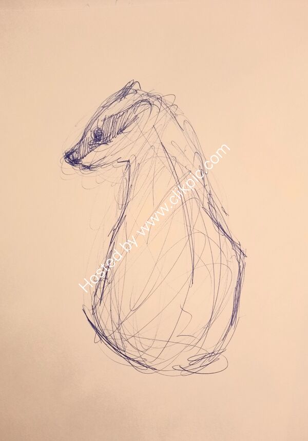 Scribbled badger