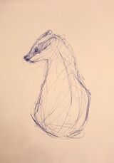 Scribbled badger