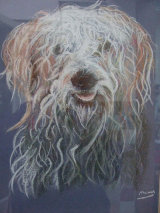 Shaggy Dog Pastel