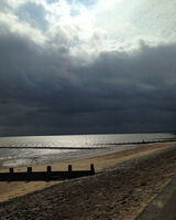 Beaching It