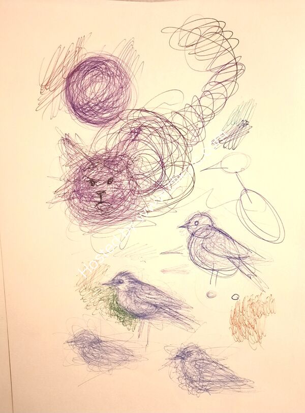 Vics kitten and ball, and how scribbling can change a bird