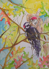 Watercolour