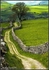 Paths to Somewhere