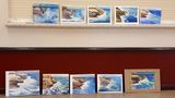 finished class paintings