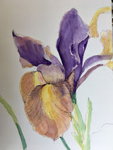 Ink and watercolours on hot pressed paper. Size 12 x 9 inches.
