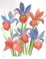thumbnail irises (1)