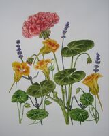 watercolour 10 x 12