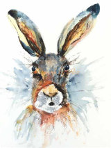 Henry the Hare