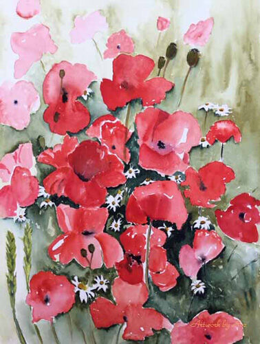 Poppies and Daisies