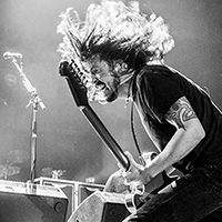 Dave Grohl Live