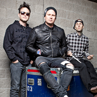 Blink 182 Flight Case