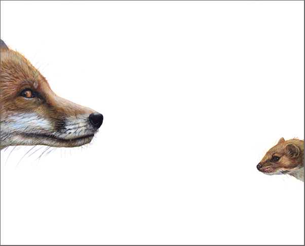 Top Predator - Fox & Weasal
