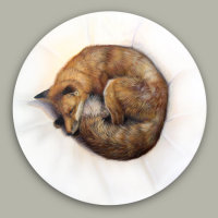 Nest