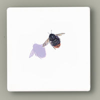 Sweet Spot - Red-tailed Bumblebee