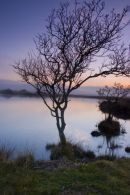 Evening at Broad Pool
