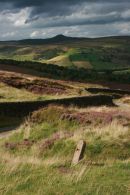 Peak District Portrait
