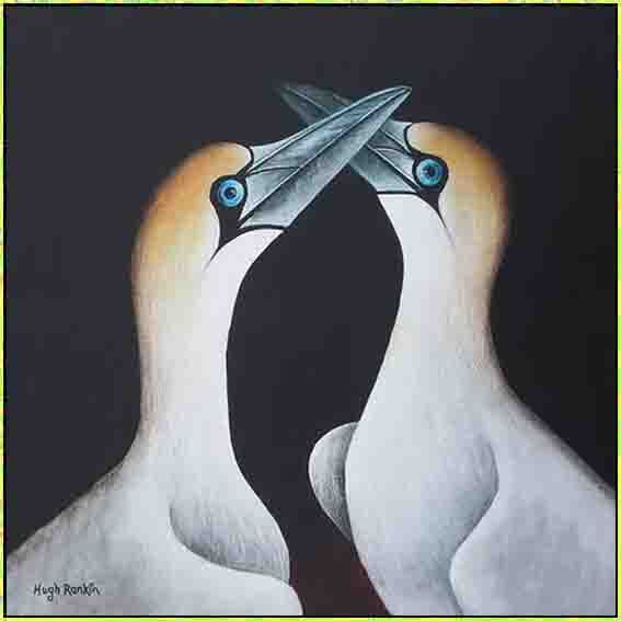 abstract_gannets