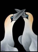 Abstract Gannets