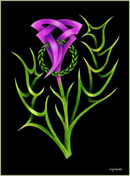 celtic_knot_thistle