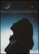 Moonlight Silhouette