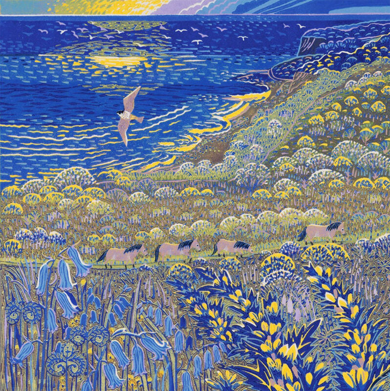 SOLD Soaring