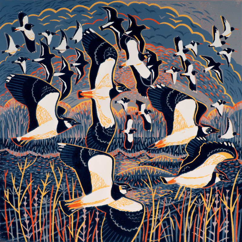 Lapwings